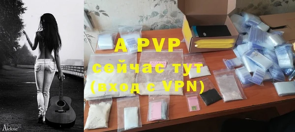 PSILOCYBIN Беломорск