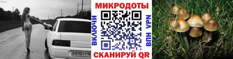 Псилоцибиновые грибы MAGIC MUSHROOMS  Верещагино 